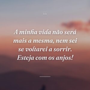 A minha vida não será mais a mesma, nem sei se voltarei a sorrir. Esteja com os anjos!