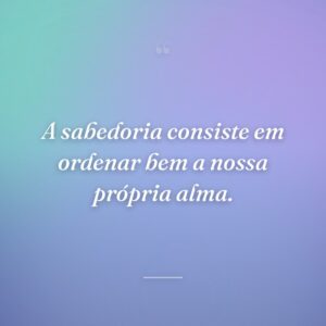 A sabedoria consiste em ordenar bem a nossa própria alma.