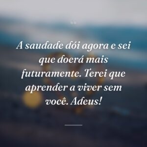 A saudade dói agora e sei que doerá mais futuramente. Terei que aprender a viver sem você. Adeus!