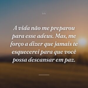 A vida não me preparou para esse adeus. Mas, me forço a dizer que jamais te esquecerei para que você possa descansar em paz.