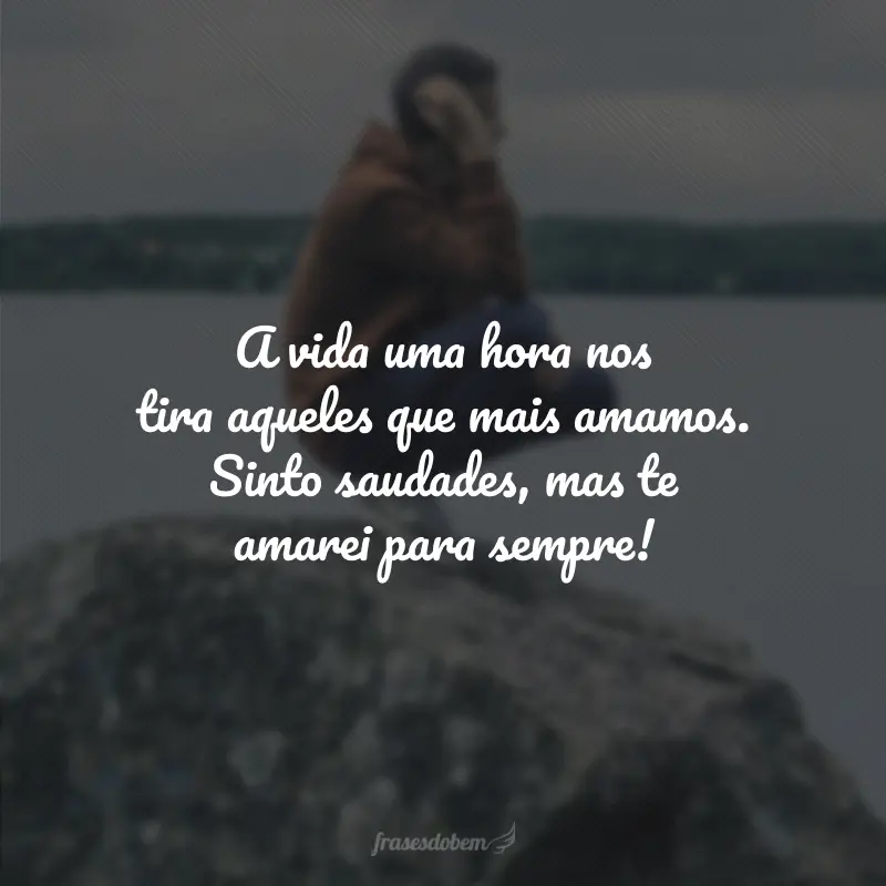 A vida uma hora nos tira aqueles que mais amamos. Sinto saudades, mas te amarei para sempre!