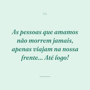 As pessoas que amamos não morrem jamais, apenas viajam na nossa frente… Até logo!