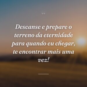Descanse e prepare o terreno da eternidade para quando eu chegar, te encontrar mais uma vez!