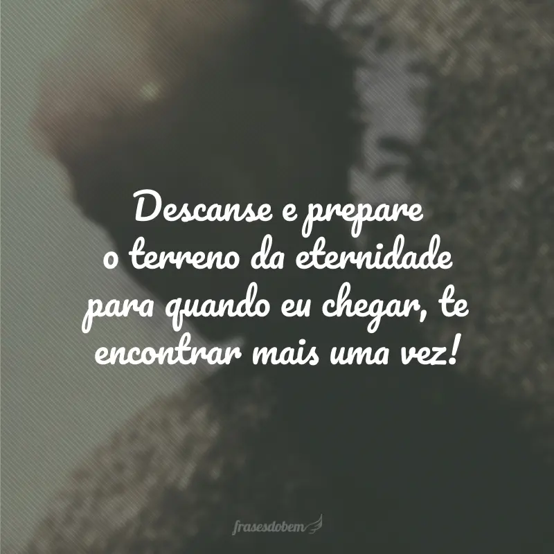 Descanse e prepare o terreno da eternidade para quando eu chegar, te encontrar mais uma vez!