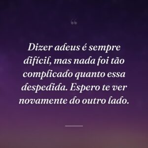 Dizer adeus é sempre difícil, mas nada foi tão complicado quanto essa despedida. Espero te ver novamente do outro lado.