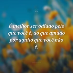 É melhor ser odiado pelo que você é, do que amado por aquilo que você não é.