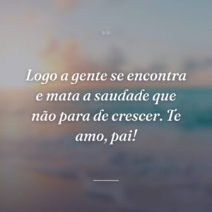 Logo a gente se encontra e mata a saudade que não para de crescer. Te amo, pai!