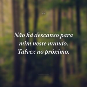 Não há descanso para mim neste mundo. Talvez no próximo.
