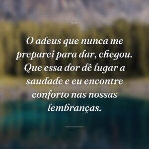 O adeus que nunca me preparei para dar, chegou. Que essa dor dê lugar a saudade e eu encontre conforto nas nossas lembranças.