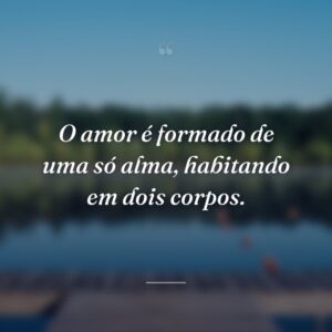 O amor é formado de uma só alma, habitando em dois corpos.