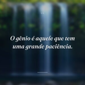 O gênio é aquele que tem uma grande paciência.