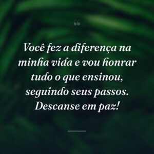 Você fez a diferença na minha vida e vou honrar tudo o que ensinou, seguindo seus passos. Descanse em paz!