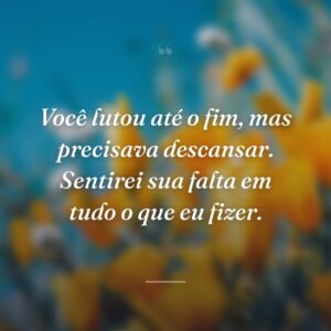 Você lutou até o fim, mas precisava descansar. Sentirei sua falta em tudo o que eu fizer.