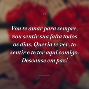 Vou te amar para sempre, vou sentir sua falta todos os dias. Queria te ver, te sentir e te ter aqui comigo. Descanse em paz!