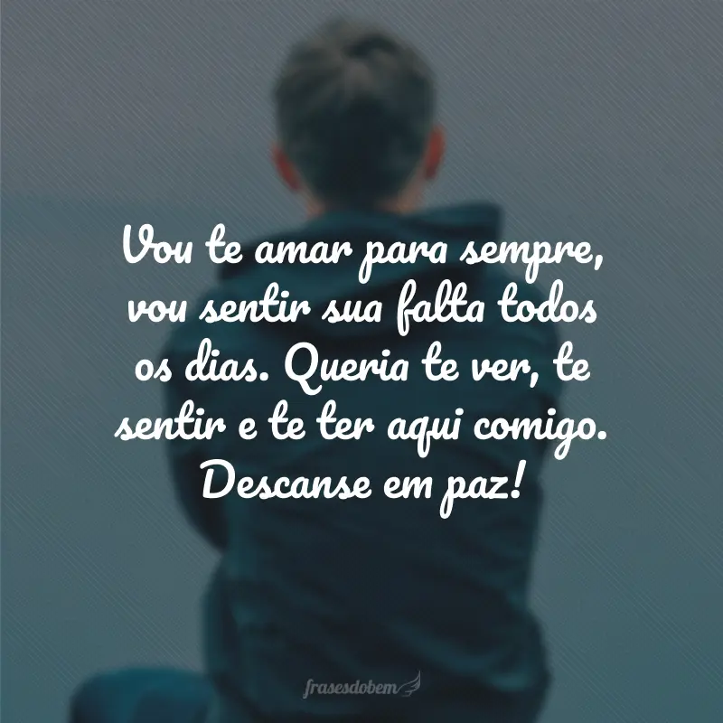 Vou te amar para sempre, vou sentir sua falta todos os dias. Queria te ver, te sentir e te ter aqui comigo. Descanse em paz!