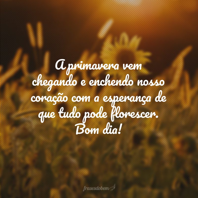 A primavera vem chegando e enchendo nosso coração com a esperança de que tudo pode florescer. Bom dia!