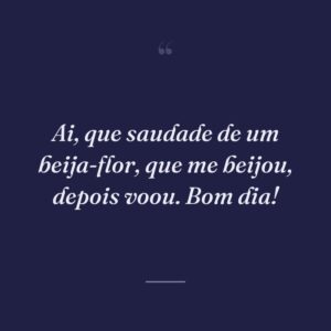 Ai, que saudade de um beija-flor, que me beijou, depois voou. Bom dia!