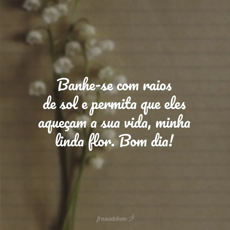 Banhe-se com raios de sol e permita que eles aqueçam a sua vida, minha linda flor. Bom dia!