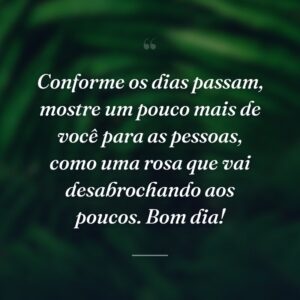 Conforme os dias passam, mostre um pouco mais de você para as pessoas, como uma rosa que vai desabrochando aos poucos. Bom dia!
