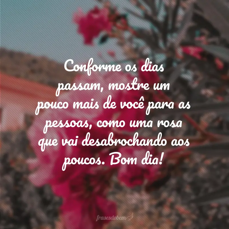 Conforme os dias passam, mostre um pouco mais de você para as pessoas, como uma rosa que vai desabrochando aos poucos. Bom dia!