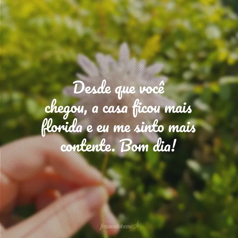 Desde que você chegou, a casa ficou mais florida e eu me sinto mais contente. Bom dia!