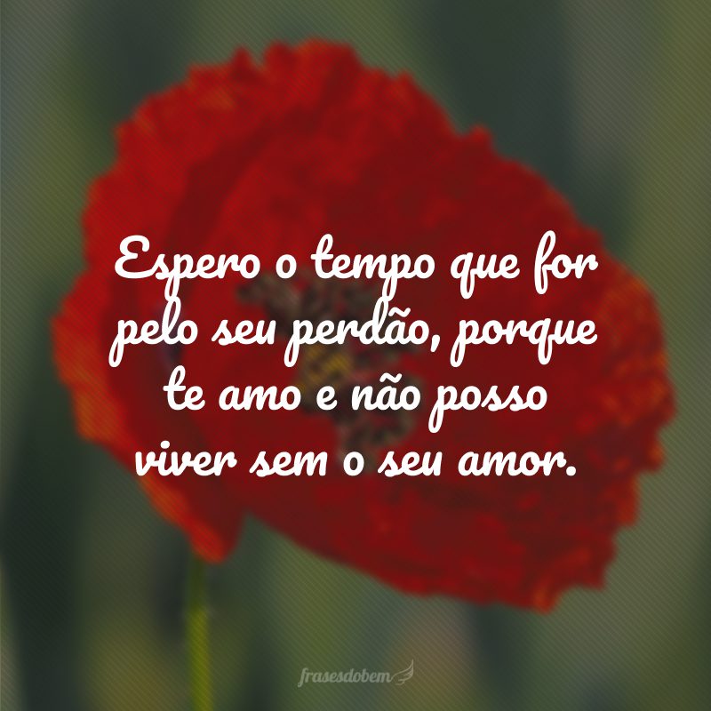 Espero o tempo que for pelo seu perdão, porque te amo e não posso viver sem o seu amor.