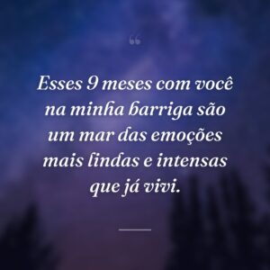 Esses 9 meses com você na minha barriga são um mar das emoções mais lindas e intensas que já vivi.