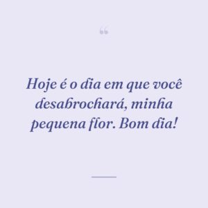 Hoje é o dia em que você desabrochará, minha pequena flor. Bom dia!