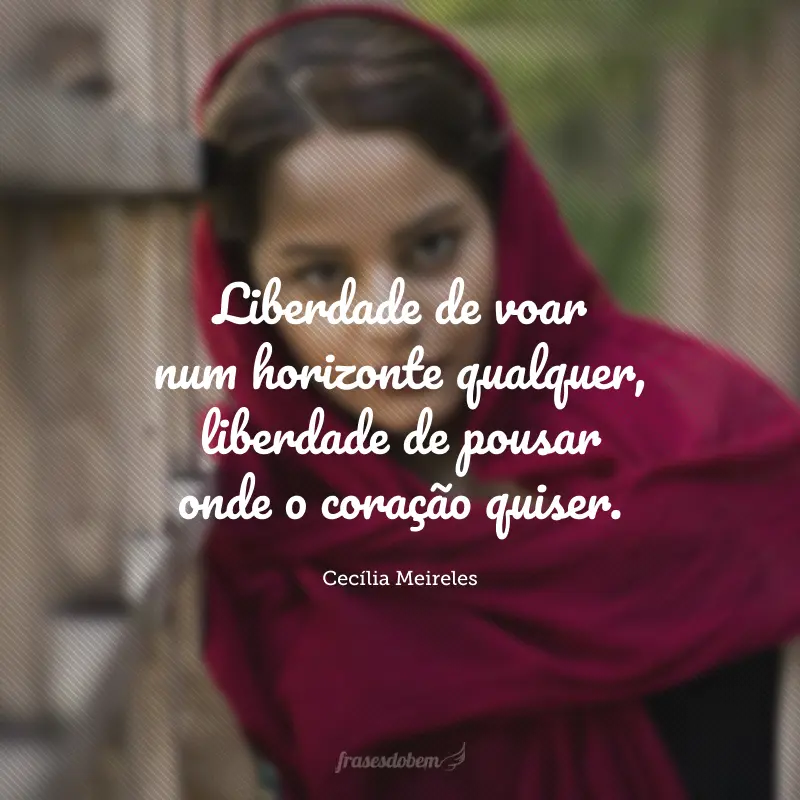 Liberdade de voar num horizonte qualquer, liberdade de pousar onde o coração quiser.