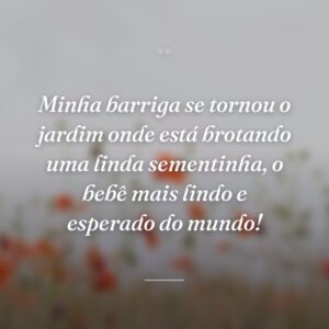 Minha barriga se tornou o jardim onde está brotando uma linda sementinha, o bebê mais lindo e esperado do mundo!