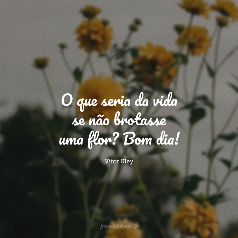 O que seria da vida se não brotasse uma flor? Bom dia!