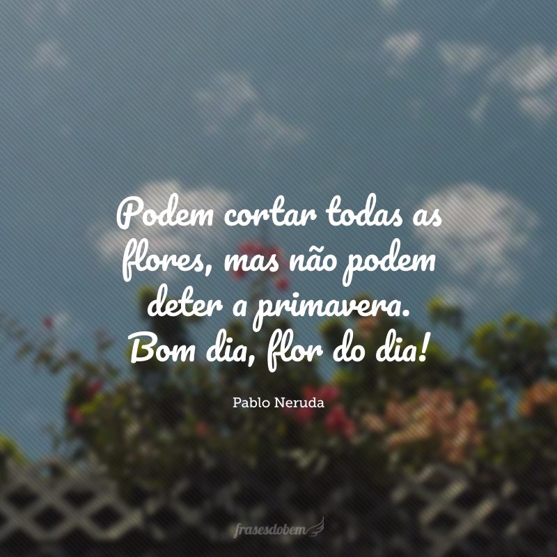 Podem cortar todas as flores, mas não podem deter a primavera. Bom dia, flor do dia!