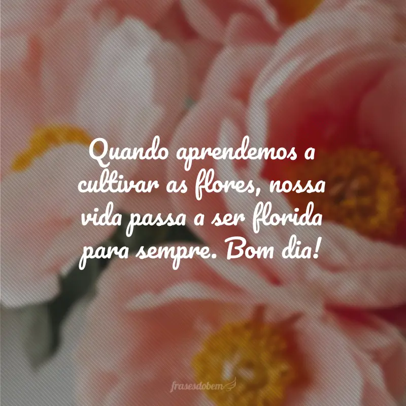 Quando aprendemos a cultivar as flores, nossa vida passa a ser florida para sempre. Bom dia!