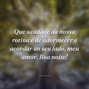 Que saudade da nossa rotina e de adormecer e acordar ao seu lado, meu amor. Boa noite!