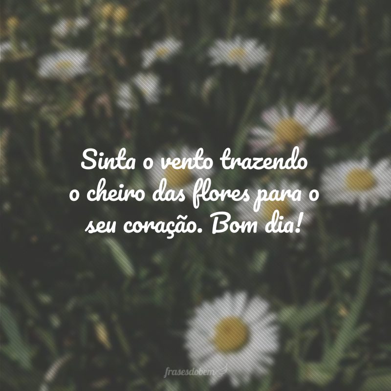 Sinta o vento trazendo o cheiro das flores para o seu coração. Bom dia!