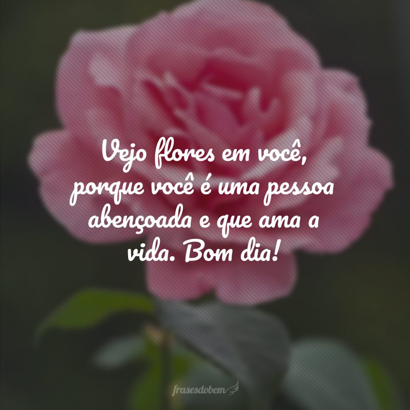 Vejo flores em você, porque você é uma pessoa abençoada e que ama a vida. Bom dia!