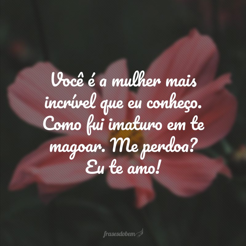 Você é a mulher mais incrível que eu conheço. Como fui imaturo em te magoar. Me perdoa? Eu te amo!