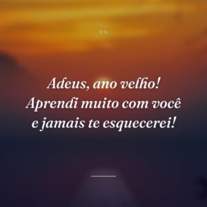 Adeus, ano velho! Aprendi muito com você e jamais te esquecerei!