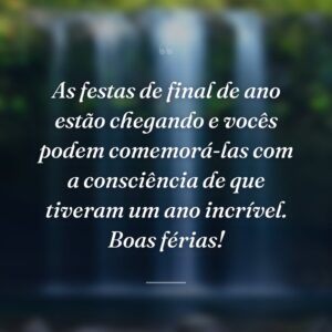 As festas de final de ano estão chegando e vocês podem comemorá-las com a consciência de que tiveram um ano incrível. Boas férias!