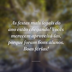 As festas mais legais do ano estão chegando! Vocês merecem aproveitá-las, porque foram bons alunos. Boas férias!