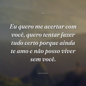 Eu quero me acertar com você, quero tentar fazer tudo certo porque ainda te amo e não posso viver sem você.