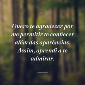 Quero te agradecer por me permitir te conhecer além das aparências. Assim, aprendi a te admirar.