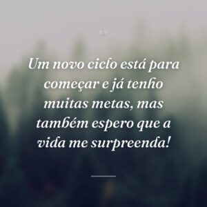 Um novo ciclo está para começar e já tenho muitas metas, mas também espero que a vida me surpreenda!