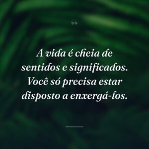 A vida é cheia de sentidos e significados. Você só precisa estar disposto a enxergá-los.