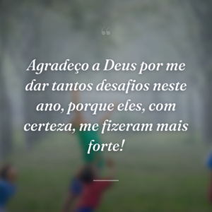 Agradeço a Deus por me dar tantos desafios neste ano, porque eles, com certeza, me fizeram mais forte!