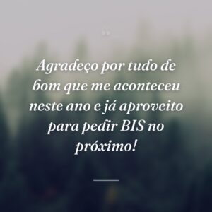 Agradeço por tudo de bom que me aconteceu neste ano e já aproveito para pedir BIS no próximo!