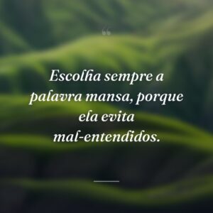 Escolha sempre a palavra mansa, porque ela evita mal-entendidos.