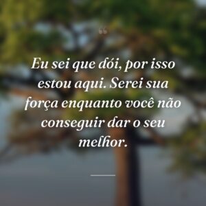 Eu sei que dói, por isso estou aqui. Serei sua força enquanto você não conseguir dar o seu melhor.