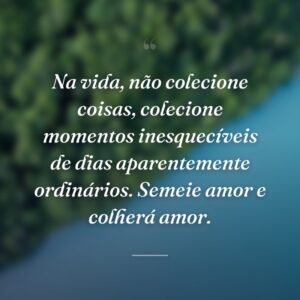 Na vida, não colecione coisas, colecione momentos inesquecíveis de dias aparentemente ordinários. Semeie amor e colherá amor.