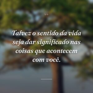 Talvez o sentido da vida seja dar significado nas coisas que acontecem com você.